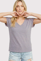 Pink Blue Striped V-Neck Short Sleeve Top
