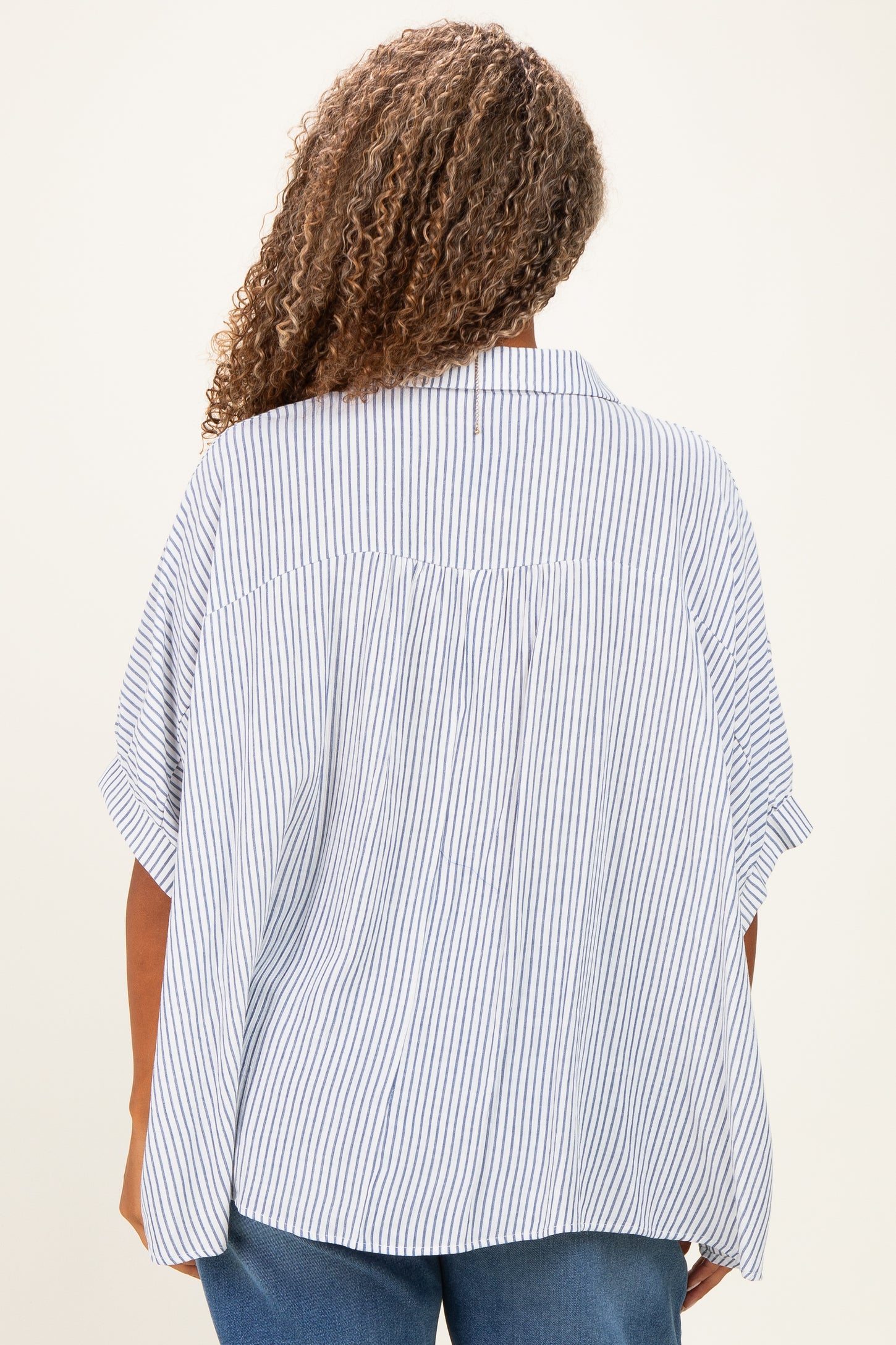 Blue Plus Woven Stripe Button Down Top
