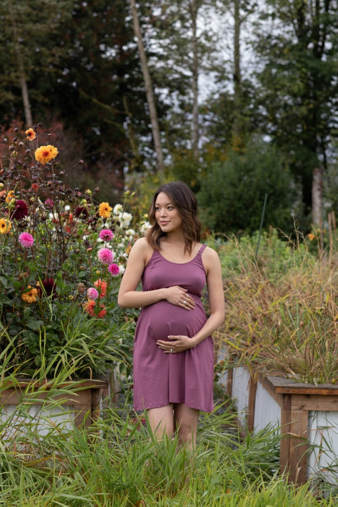 Plum Bravado Drop Front Nursing Maternity Dress